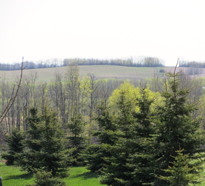 Lot 12 - 2.87 acres 5