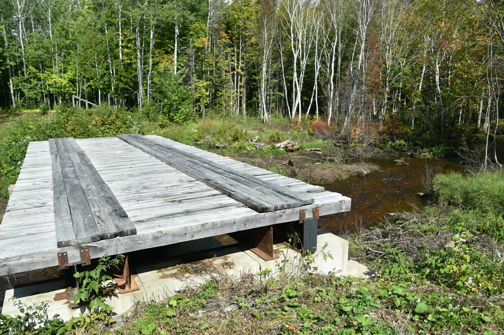 100 acre Wood Lot / Terre à bois 100 acres
TERRE A BOIS CONSTRUCTIBLE ET ÉRABLIERE POSSIBLE, WOOD-LOT POSSIBLE MAPLE GROVE 4