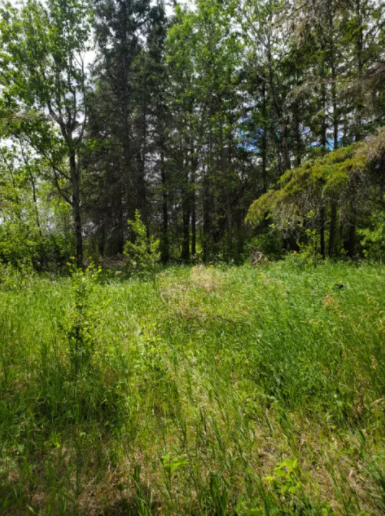 Beach property for sale 3