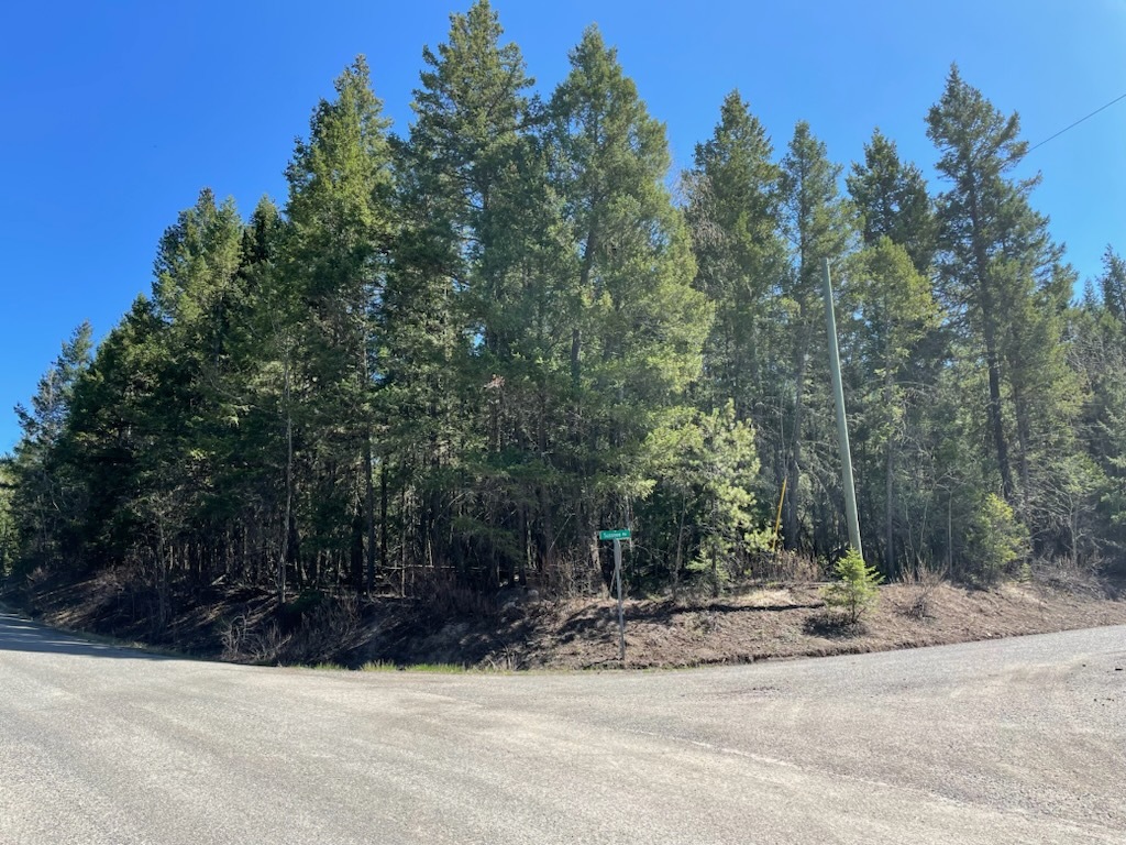 Beautiful Corner Lot 5
