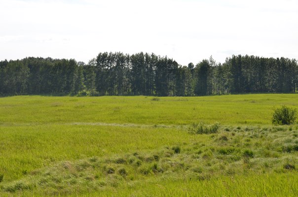 Foxfire Glen Lot 5 Block 3, Rimbey 2