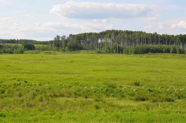 Foxfire Glen Lot 5 block 2, Rimbey 3