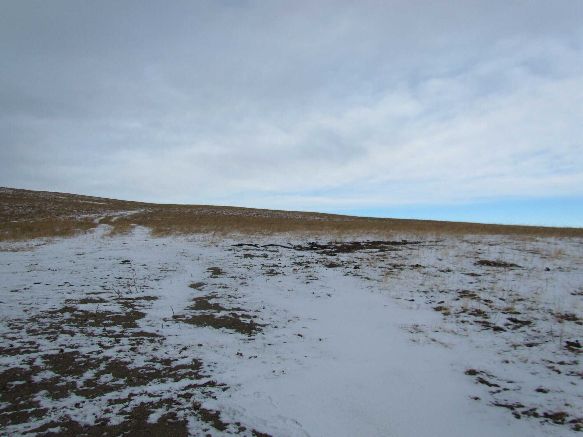Acreage in the Porcupine Hills 4