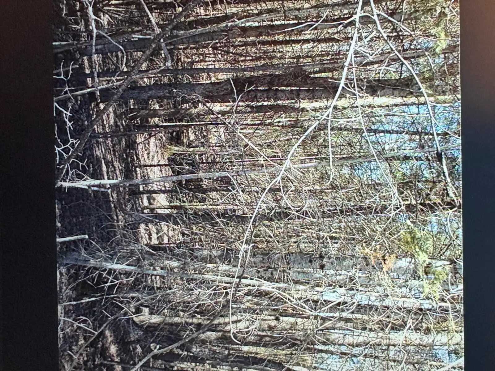 Land for sale 3