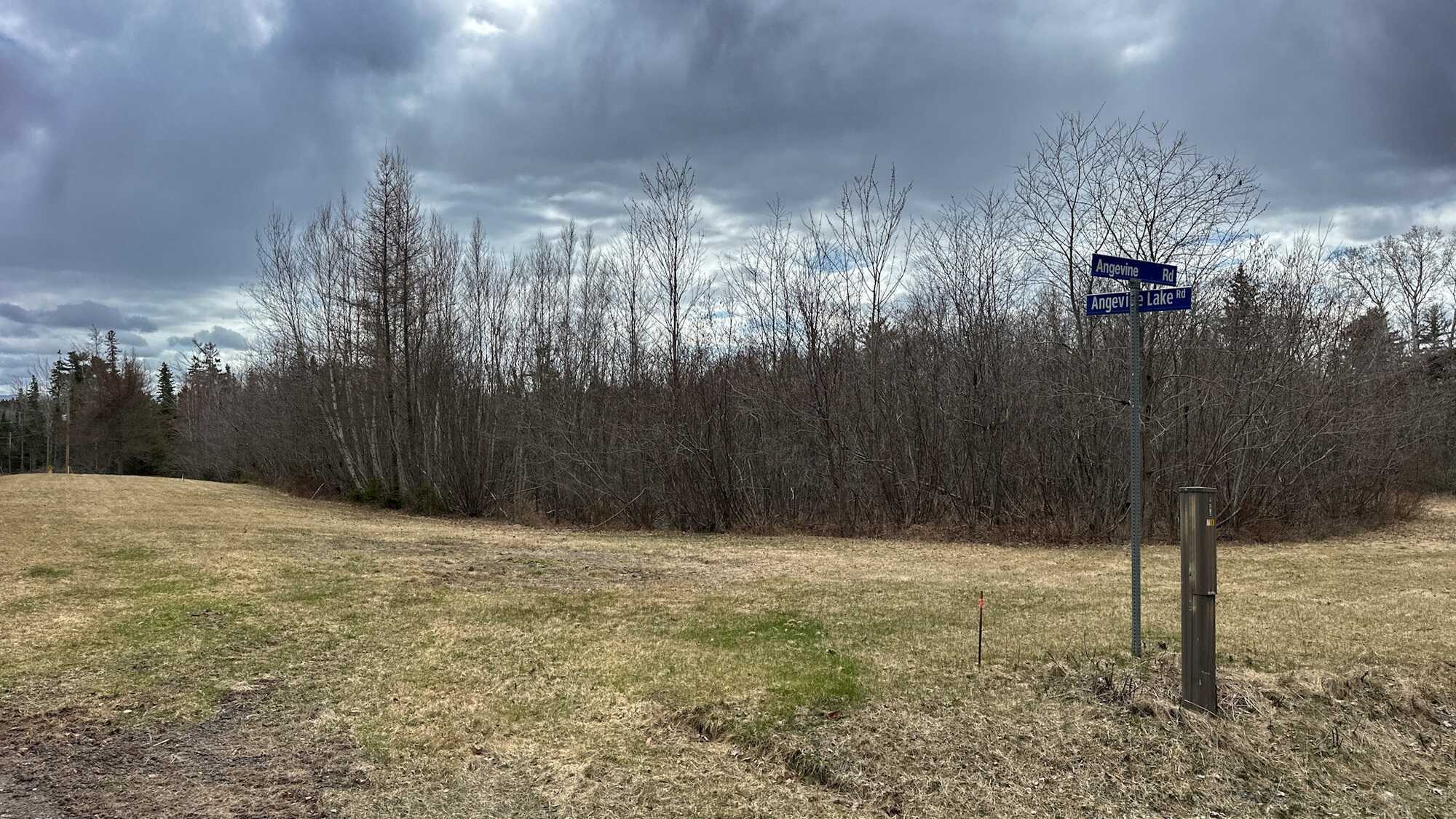 1.33 acres of paradise at Angevine Lake! 4