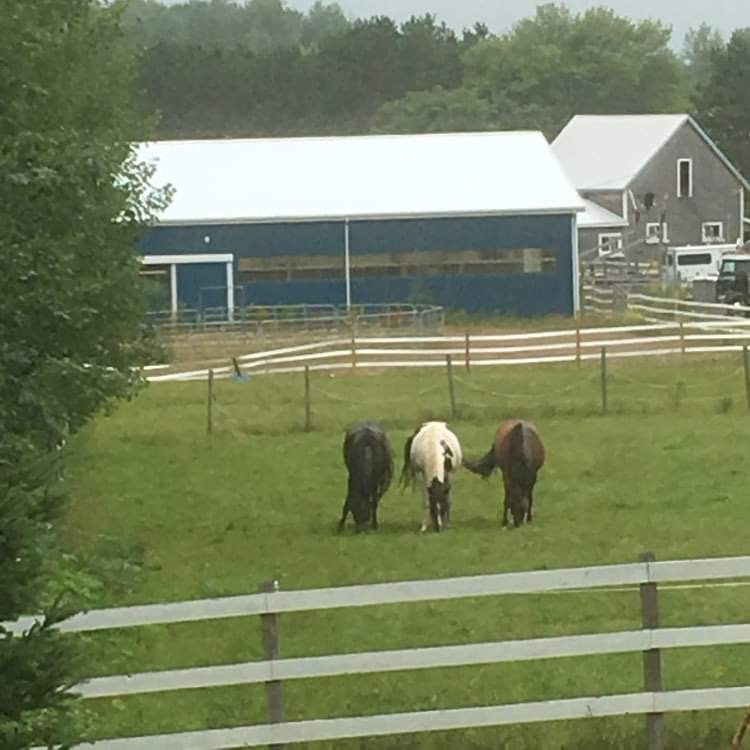 Equestrian & Commercial Opportunity on 17 Private Acres 3