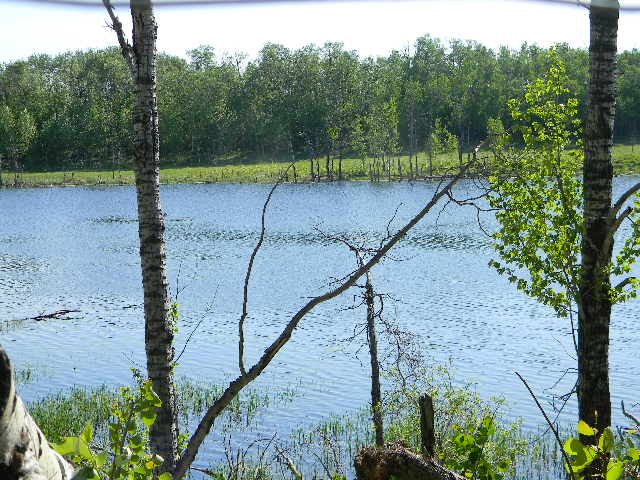 Block 2 Lot 16, Opal 2