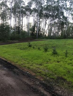 Cabin at Little Swan Subdivision, titled lot. Read ad to end 4