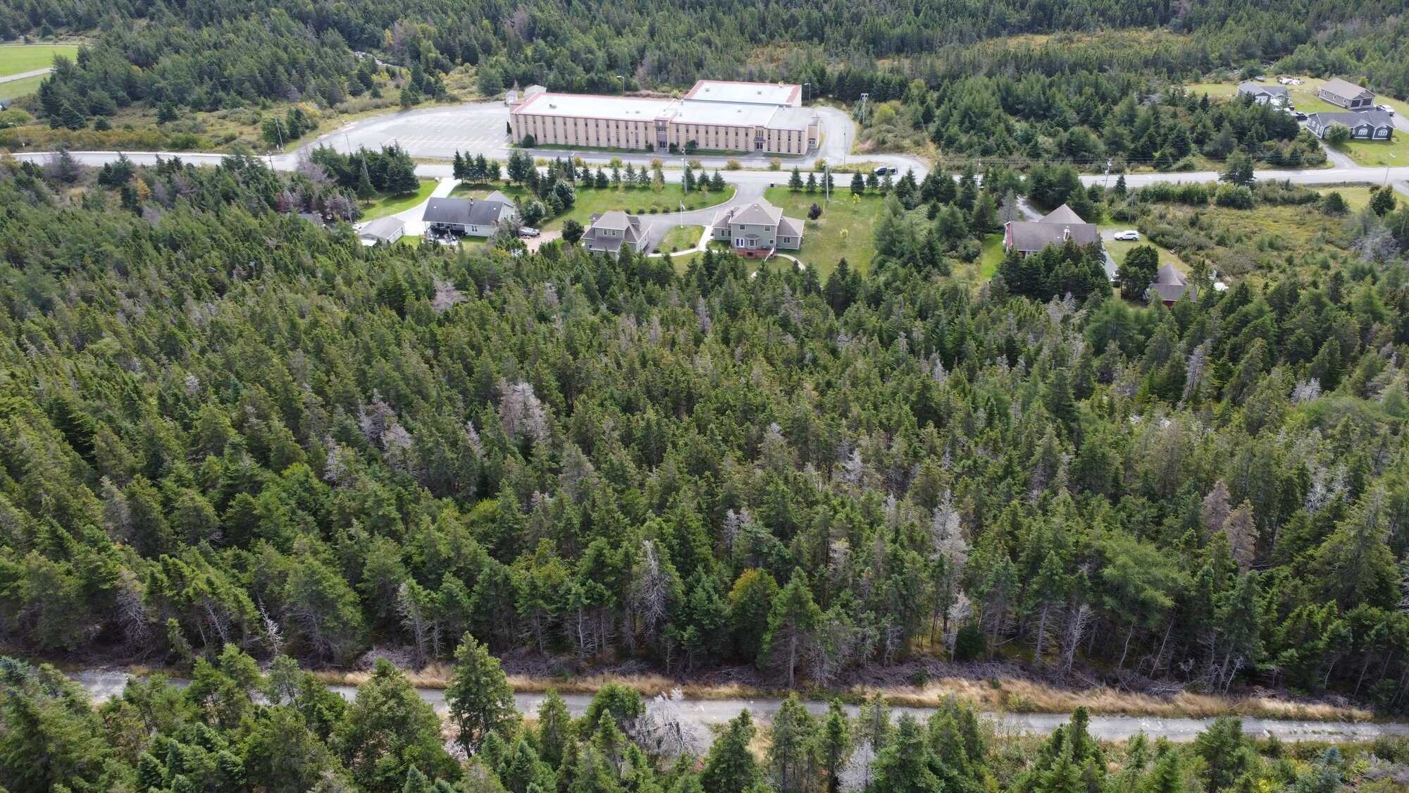 10 Acres with Endless Possibilities in Carbonear! Development or private estate close to schools, hospital, recreation, shopping, outdoor living, etc. 2