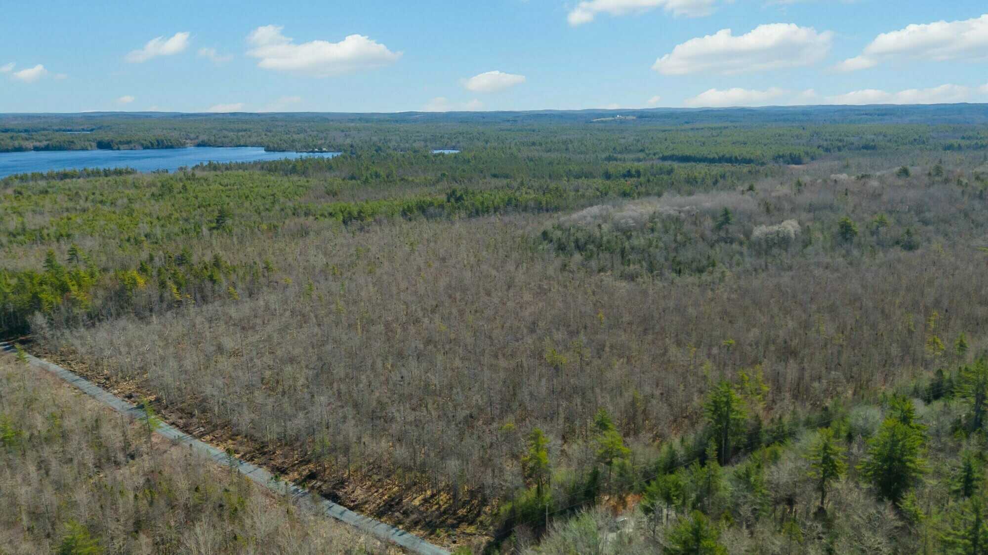 Woodland Opportunity in East Clifford – 27 Hectares / 66.7+ Acres 4