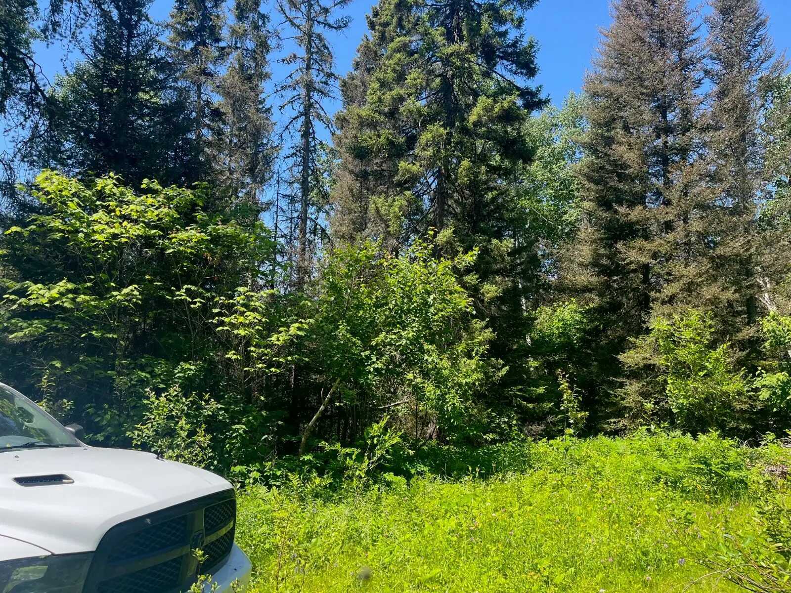 Rare 20-Acre Off-Grid Paradise – Larder Lake Boundary 3