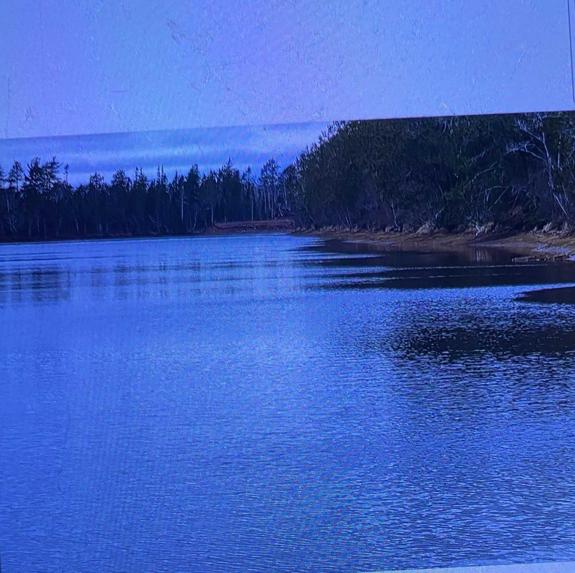 Almost 16 acres with over 2500 feet of water frontage! 5