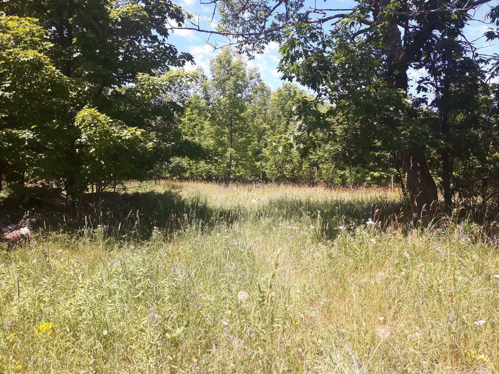 13 Acres of Waterfront on Beautiful Lake Manitou 3